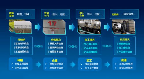 科技賦能，守護“天府糧倉”——川糧集團以全產(chǎn)業(yè)鏈云碼溯源引領(lǐng)糧油質(zhì)量安全新標(biāo)桿